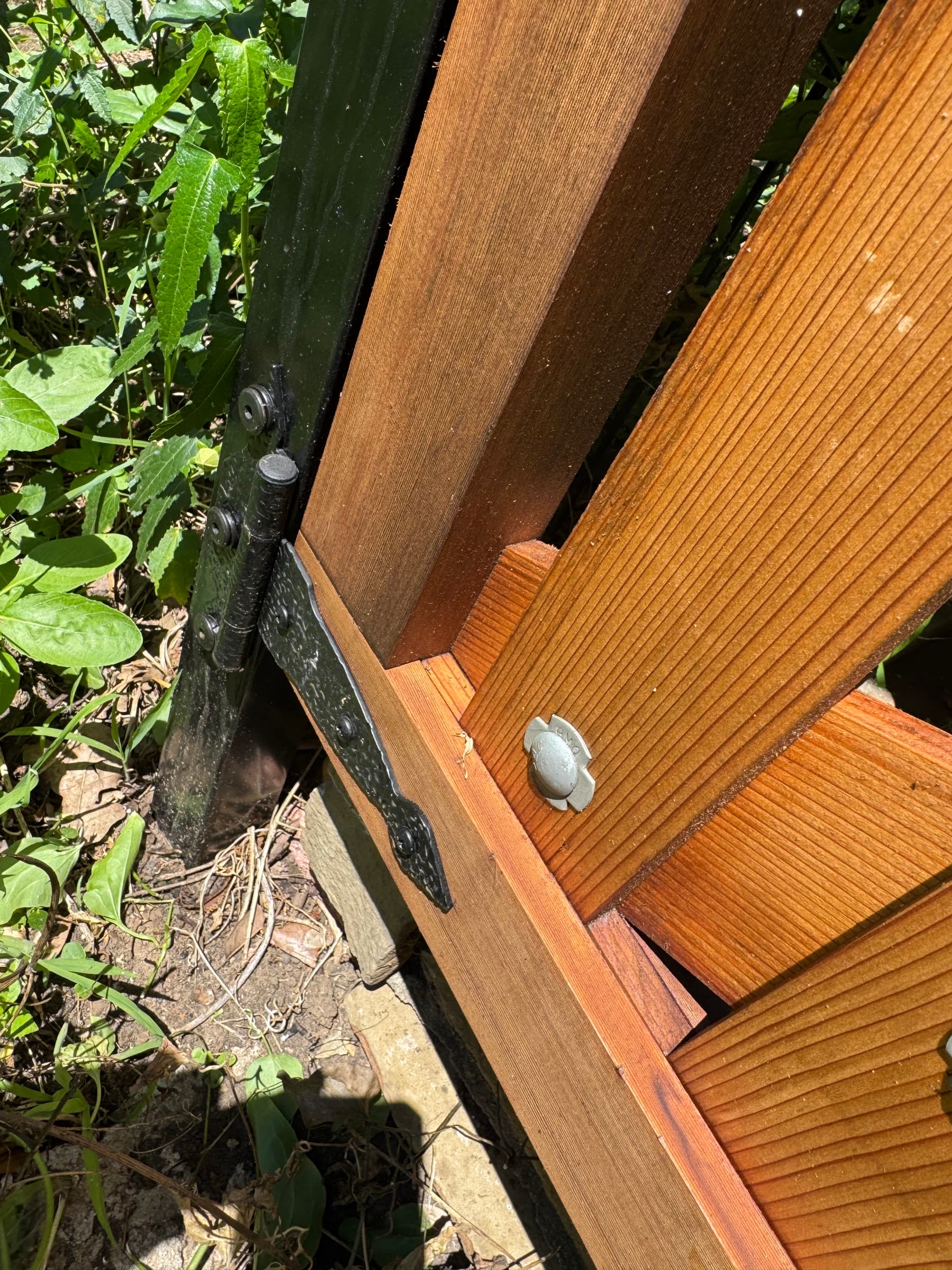 Garden Gate — photo 4
